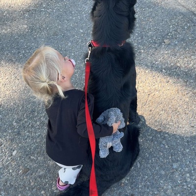 Adopted!