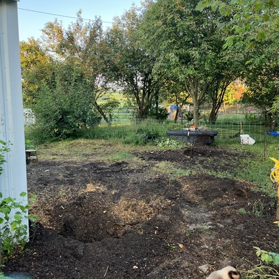 Let the destruction... I mean construction begin. But first, 1000's of flowers and bulbs were moved