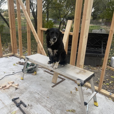 Even the family pet helped with construction of the new facility!