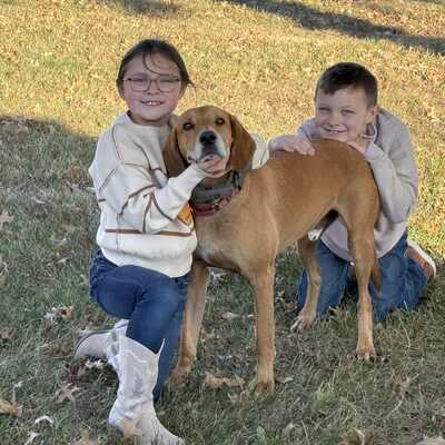 Boone is adopted and so loved!