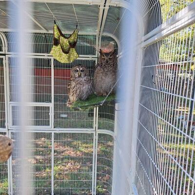 Lack of available caging led to some unlikely housing partnerships.