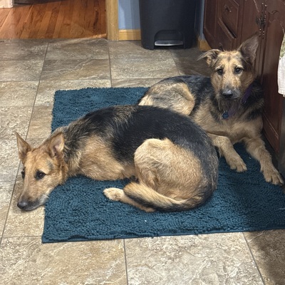 Adopted and so loved!
