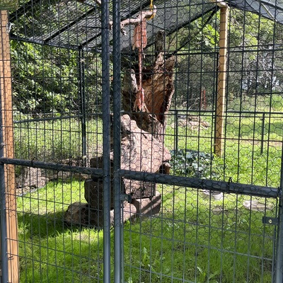Because of the fire, new enclosures were erected overnight using any available material.