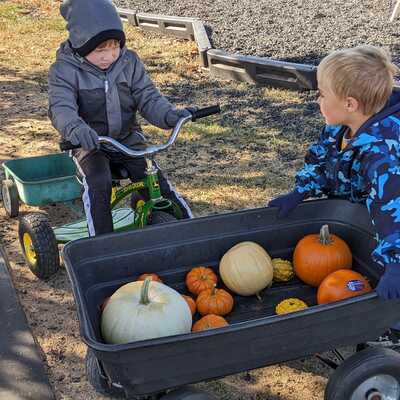 pumpkin wagon