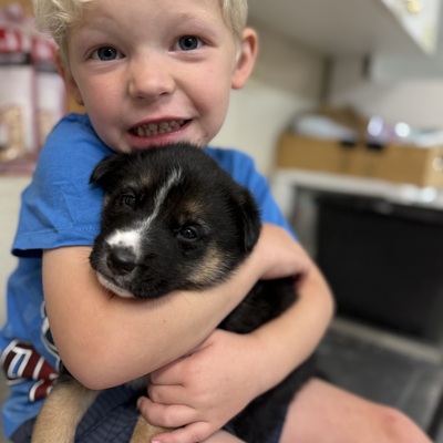 Carson loves the pups!