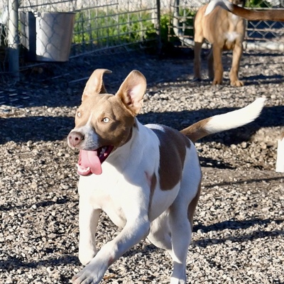 Radar is still available for adoption!