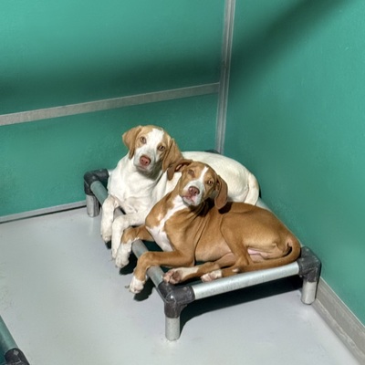 Best of friends!